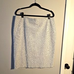 Ann Taylor Skirt